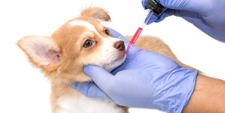 ABC International slide 1