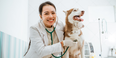 ABC International slide 3